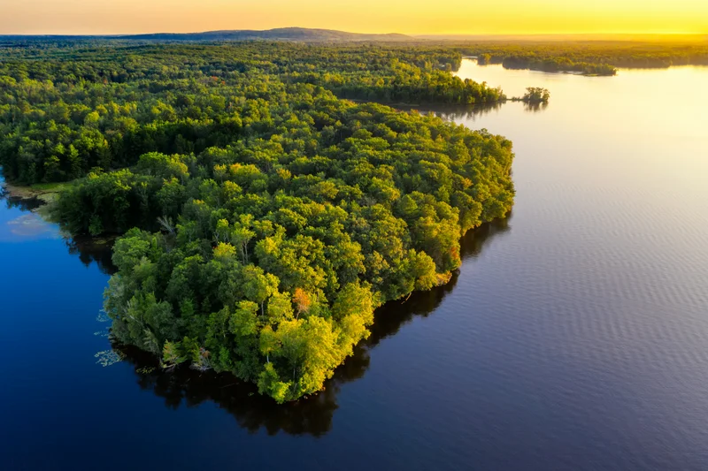 Bewaldete Halbinsel im See im Abendlicht, von oben