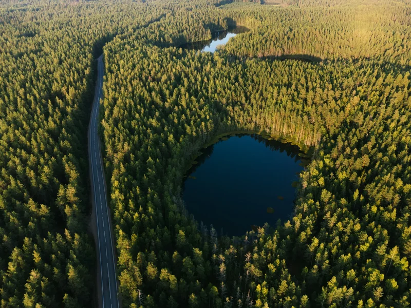 Waldsee und Landstraße von oben