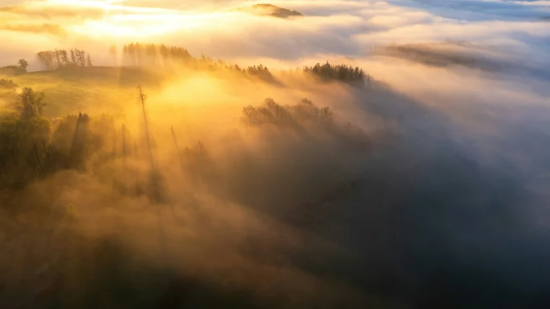 Sonnenstrahlen brechen durch Morgennebel über Bäumen, aus der Luft